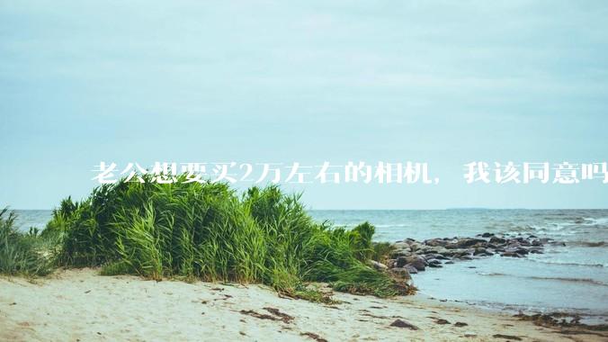 老公想要买2万左右的相机，我该同意吗？