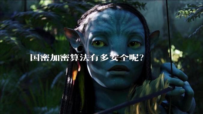 国密加密算法有多安全呢？