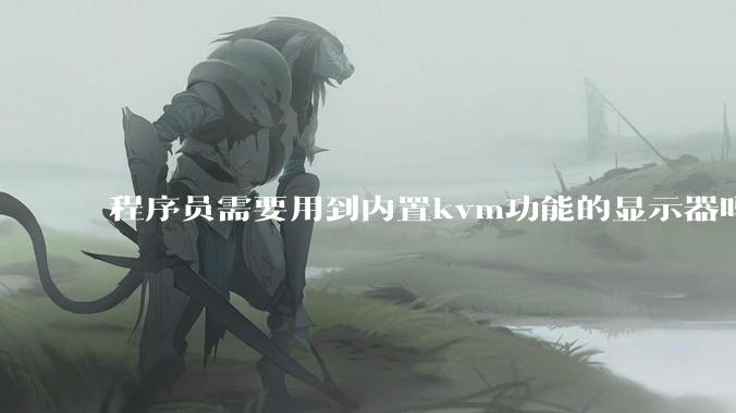 程序员需要用到内置kvm功能的显示器吗？或者是外置的kvm切换器吗？