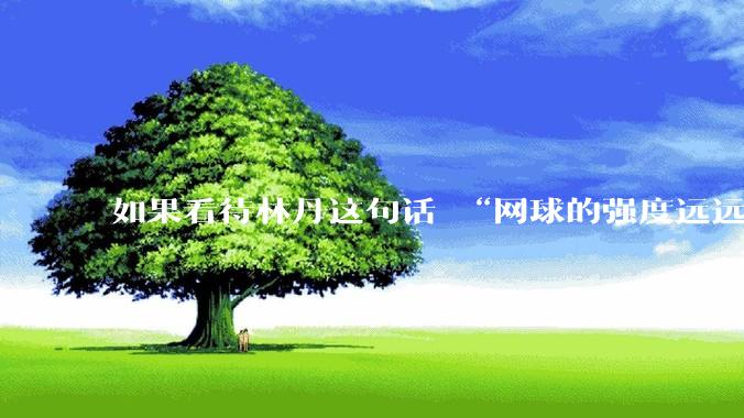 如果看待林丹这句话 “网球的强度远远没有羽毛球大”?