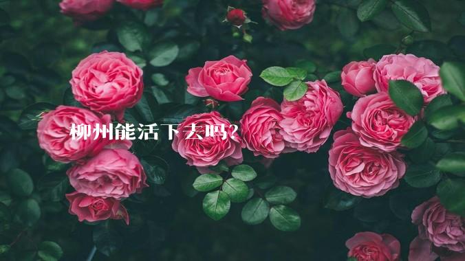 柳州能活下去吗？