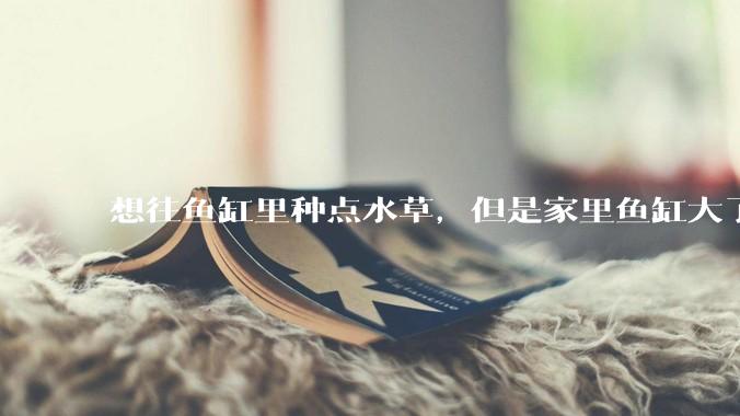 想往鱼缸里种点水草，但是家里鱼缸大了买水草泥或者底砂太贵了，有没有生活中可以替代的物品或其他建议？