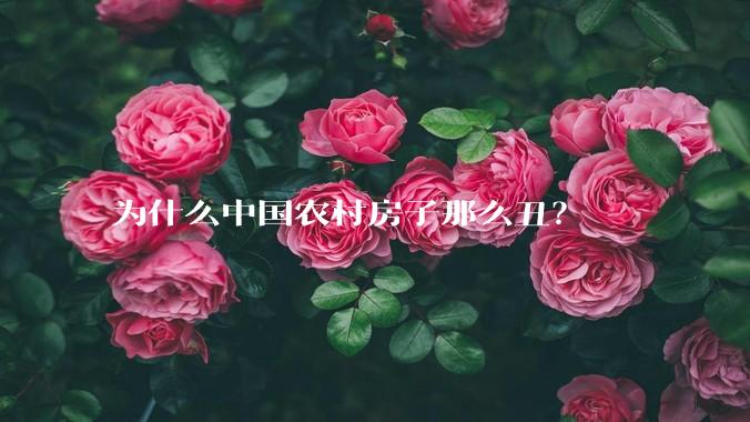 为什么中国农村房子那么丑？