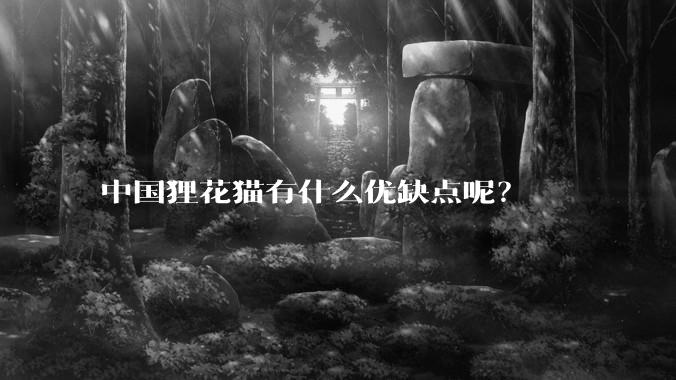 中国狸花猫有什么优缺点呢？