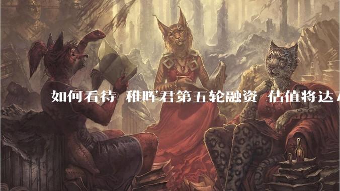 如何看待 稚晖君第五轮融资 估值将达70亿？