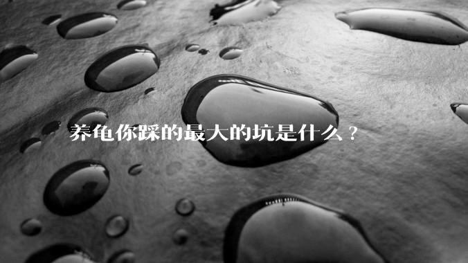 养龟你踩的最大的坑是什么?