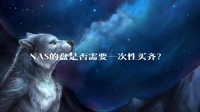 NAS的盘是否需要一次性买齐？