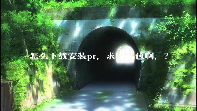 怎么下载安装pr，求安装包啊，？