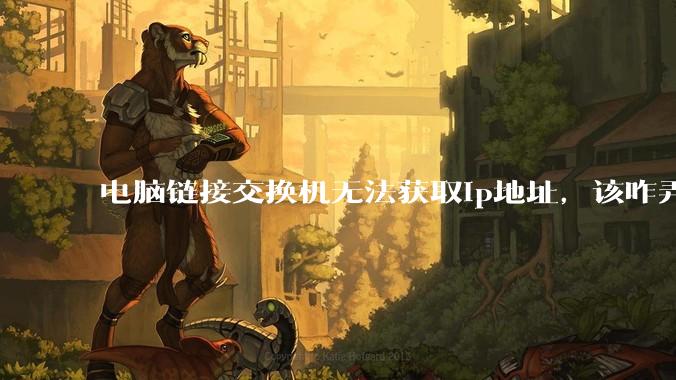 电脑链接交换机无法获取ip地址，该咋弄？