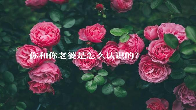 你和你老婆是怎么认识的？