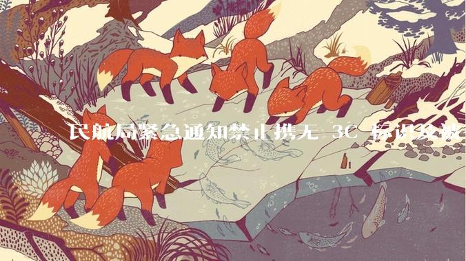 民航局紧急通知禁止携无 3C 标识及被召回的充电宝乘境内航班，无 3C 标识充电宝有哪些安全隐患？