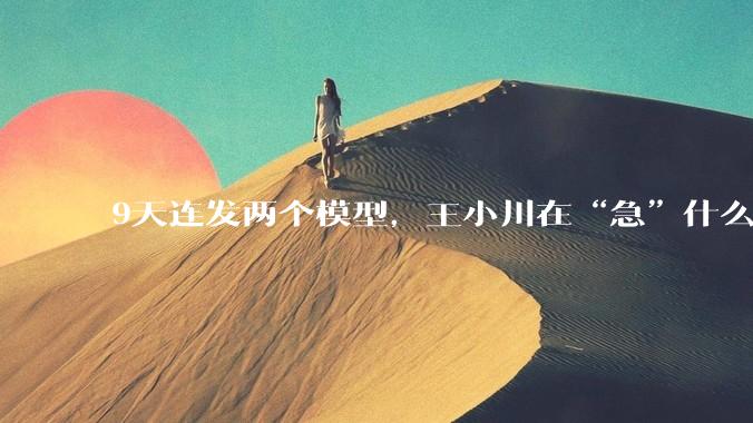 9天连发两个模型，王小川在“急”什么？｜甲子光年_医疗_医生_Plus