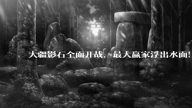 大疆影石全面开战，最大赢家浮出水面！_竞争_市场_无人机