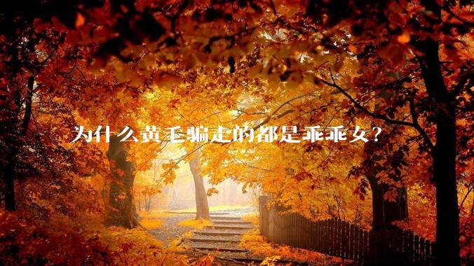 为什么黄毛骗走的都是乖乖女？