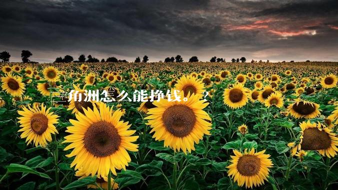 三角洲怎么能挣钱。?