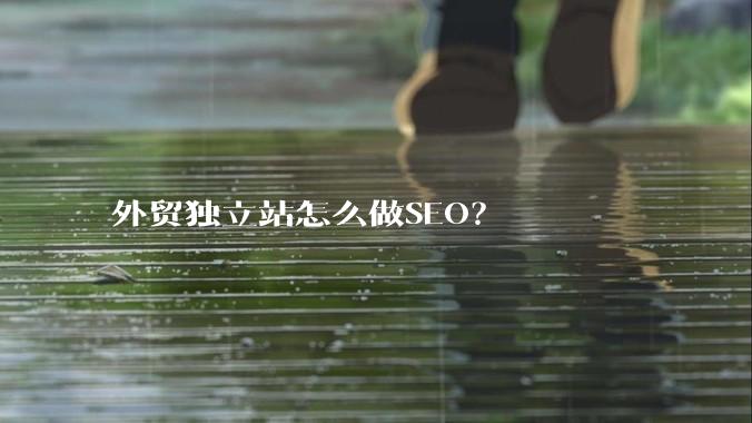 外贸独立站怎么做SEO？