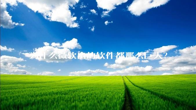 为什么微软出的软件都那么巨大？