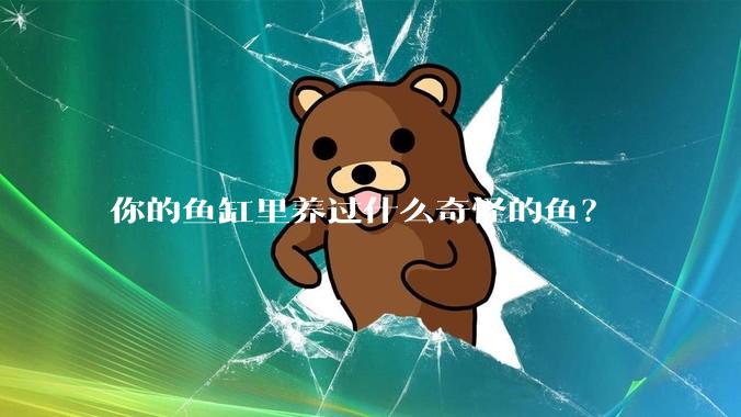 你的鱼缸里养过什么奇怪的鱼？