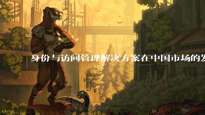 身份与访问管理解决方案在中国市场的发展前景？
