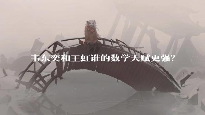 韦东奕和王虹谁的数学天赋更强？