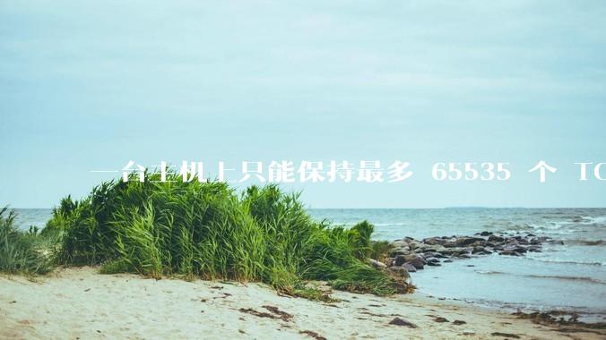 一台主机上只能保持最多 65535 个 TCP 连接吗？