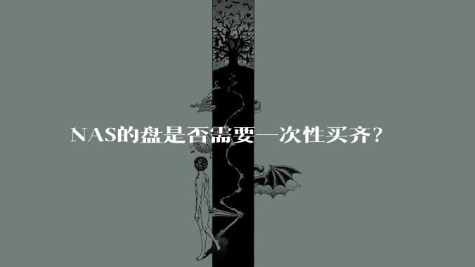 NAS的盘是否需要一次性买齐？