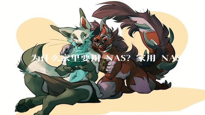 为什么家里要用 NAS？家用 NAS 有哪些实际的、接地气的用途？