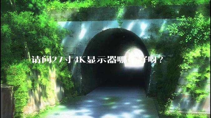请问27寸4K显示器哪个好呀？