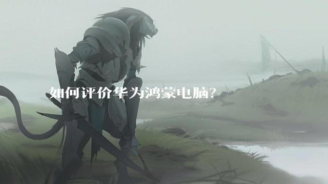 如何评价华为鸿蒙电脑？