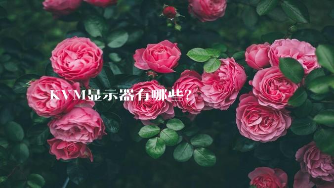 KVM显示器有哪些？