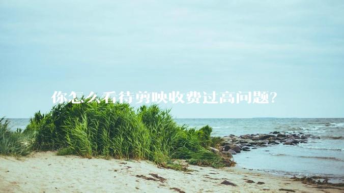 你怎么看待剪映收费过高问题？