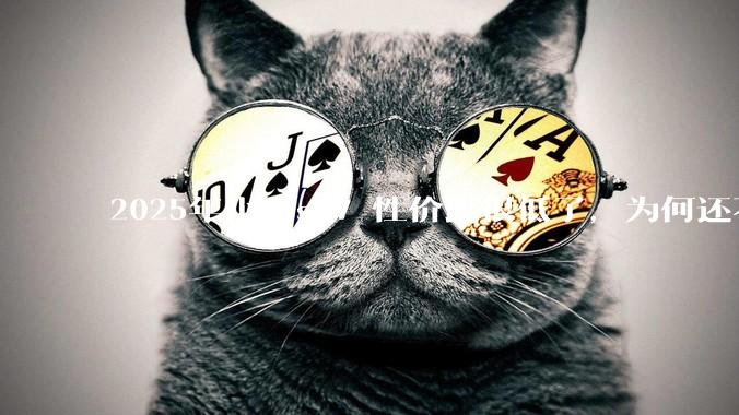 2025年小米su7 性价比很低了，为何还不更新改款？