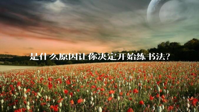 是什么原因让你决定开始练书法？
