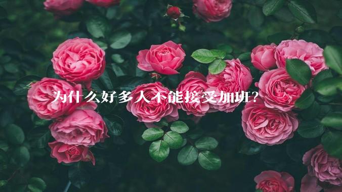 为什么好多人不能接受加班？