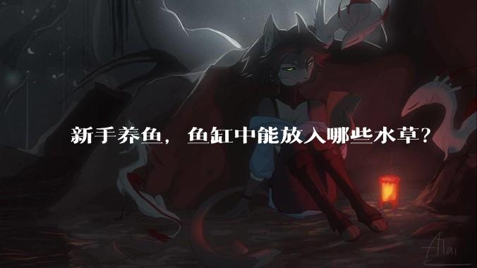 新手养鱼，鱼缸中能放入哪些水草？