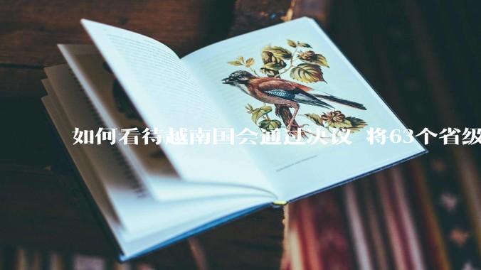 如何看待越南国会通过决议 将63个省级行政单位精简至34个？这将带来什么影响？