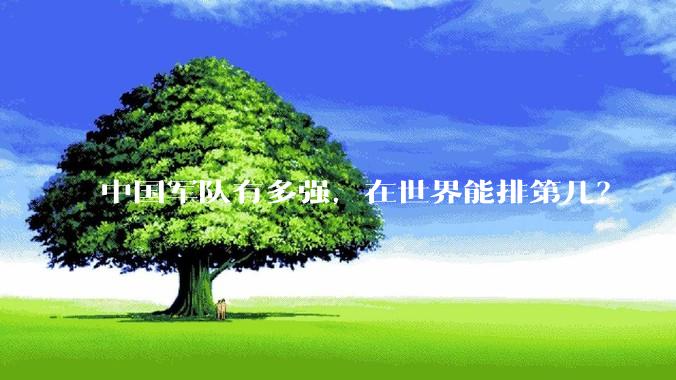 中国军队有多强，在世界能排第几？