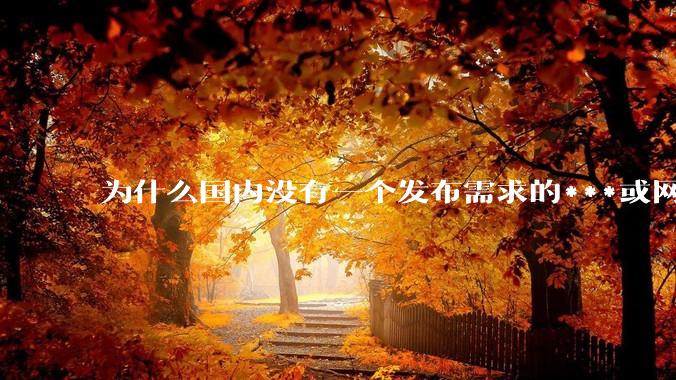 为什么国内没有一个发布需求的***或网站呢？