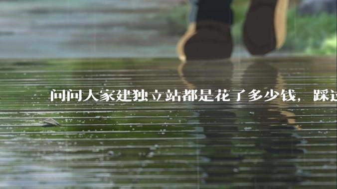 问问大家建独立站都是花了多少钱，踩过哪些坑？